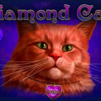 Diamond Cats