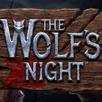 Wolfs Night
